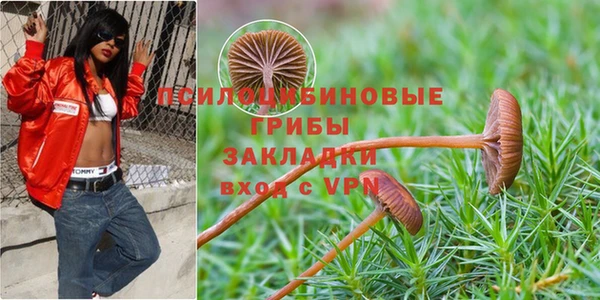 трава Нефтегорск