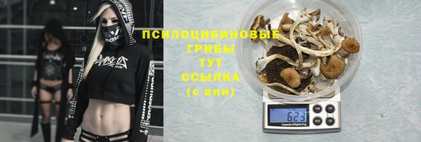 ECSTASY Нефтекумск