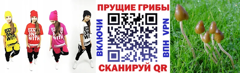 мега зеркало  Соликамск  Псилоцибиновые грибы мухоморы 